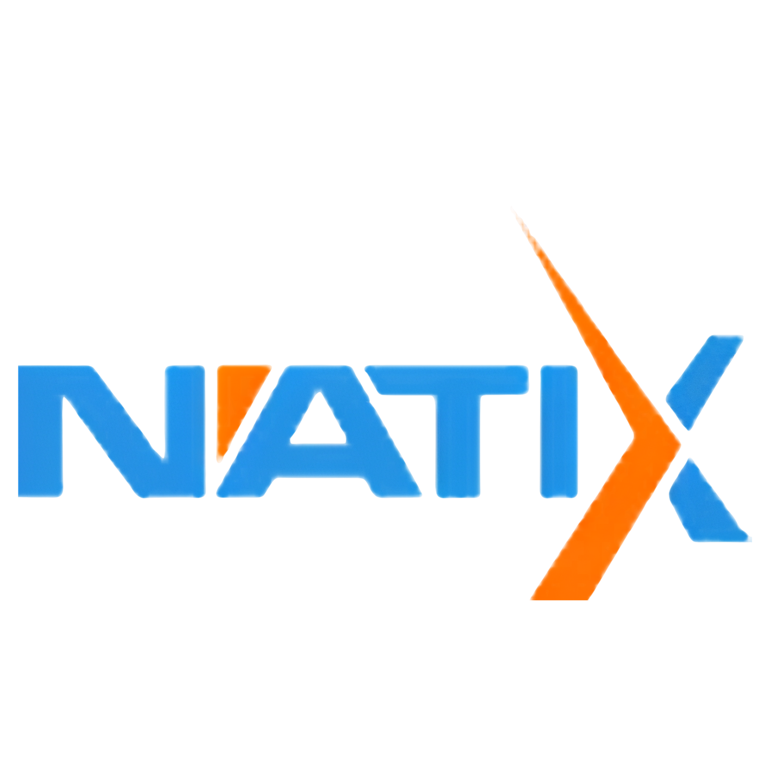 NATIX Logo